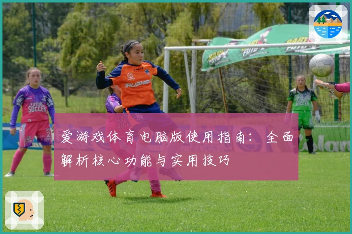 爱游戏体育电脑版使用指南：全面解析核心功能与实用技巧